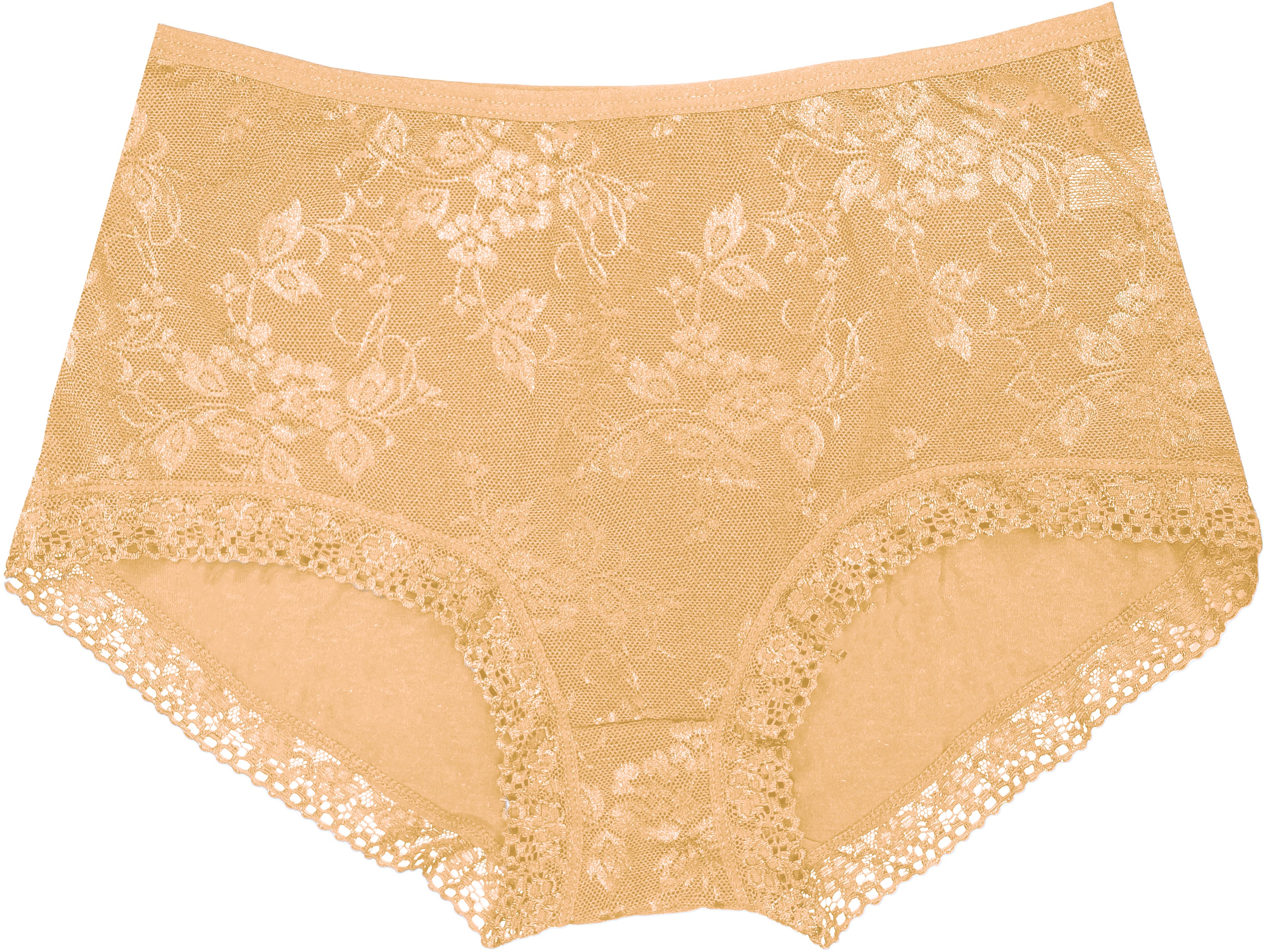 Dressably Women Girls Full Coverage Lace Hipster Panty Underwear Briefs