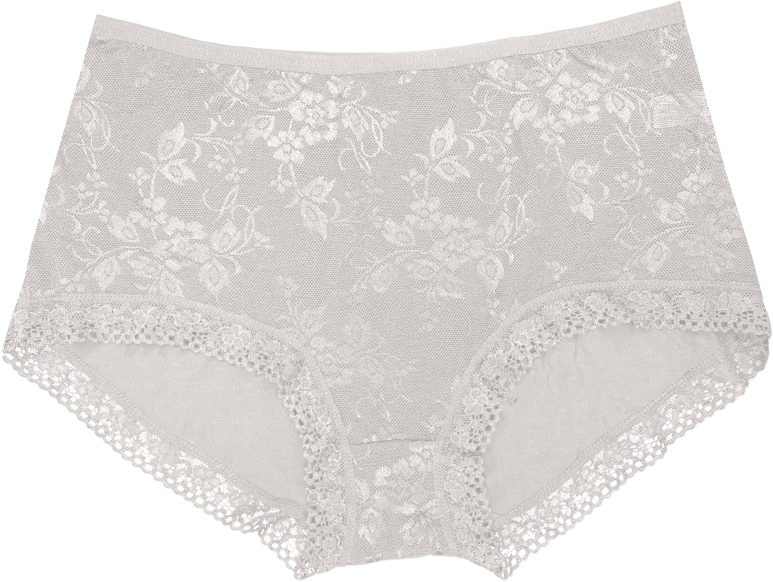 Dressably Women Girls Full Coverage Lace Hipster Panty Underwear Briefs