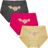 Dressably Women's Nylon Cotton High Waist Tummy Control Panty (Pack of 3)