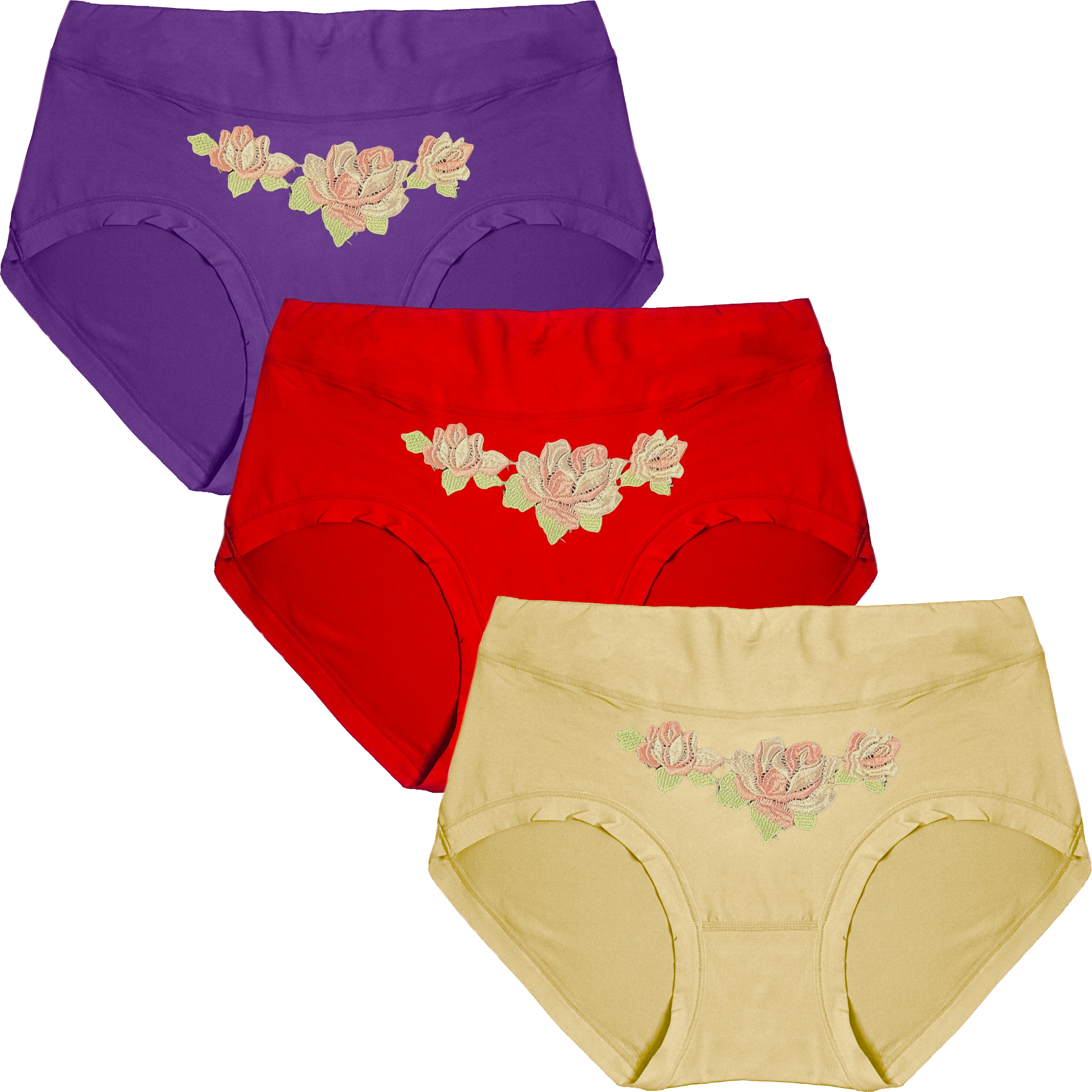 Dressably Women's Nylon Cotton High Waist Tummy Control Panty (Pack of 3)