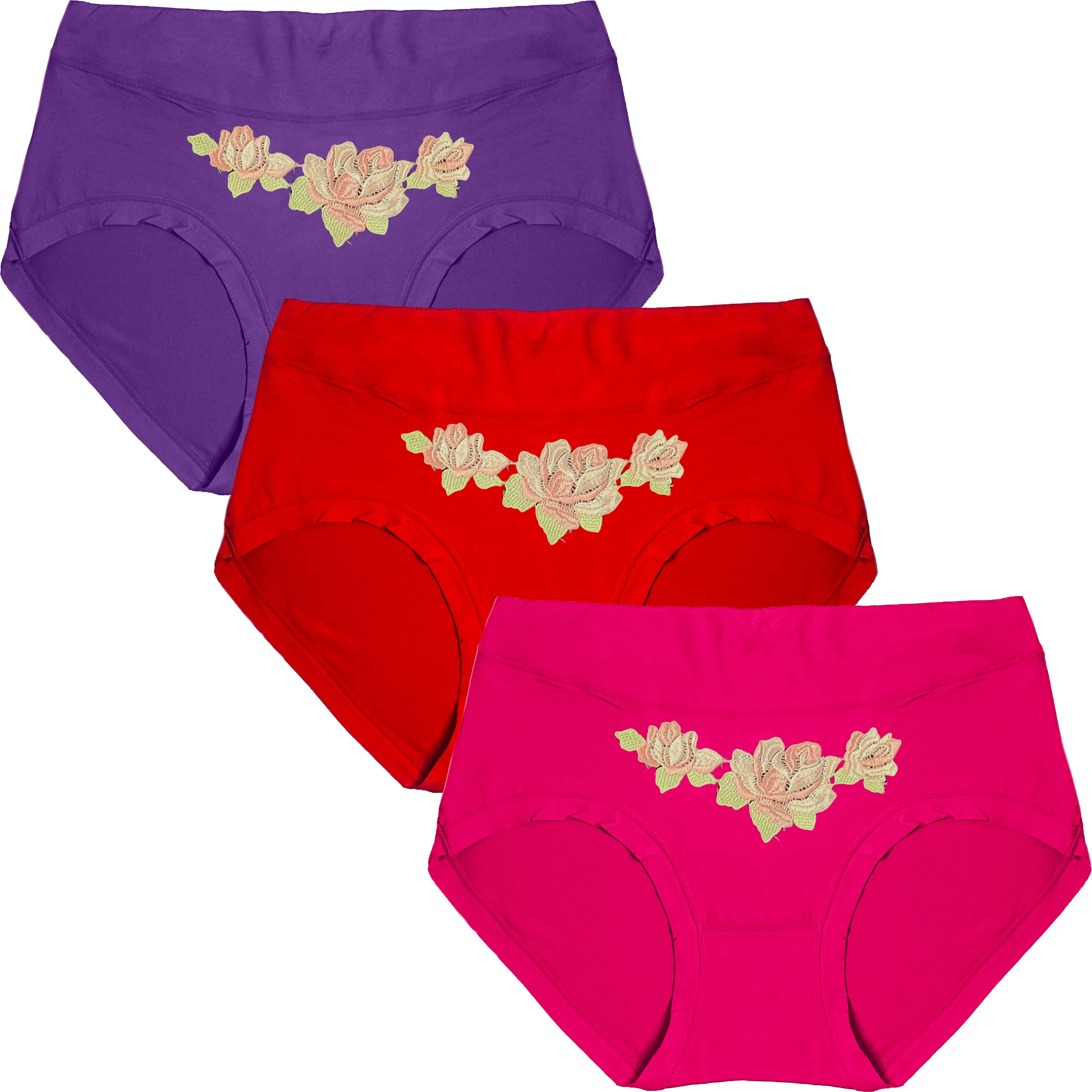 Dressably Women's Nylon Cotton High Waist Tummy Control Panty (Pack of 3)