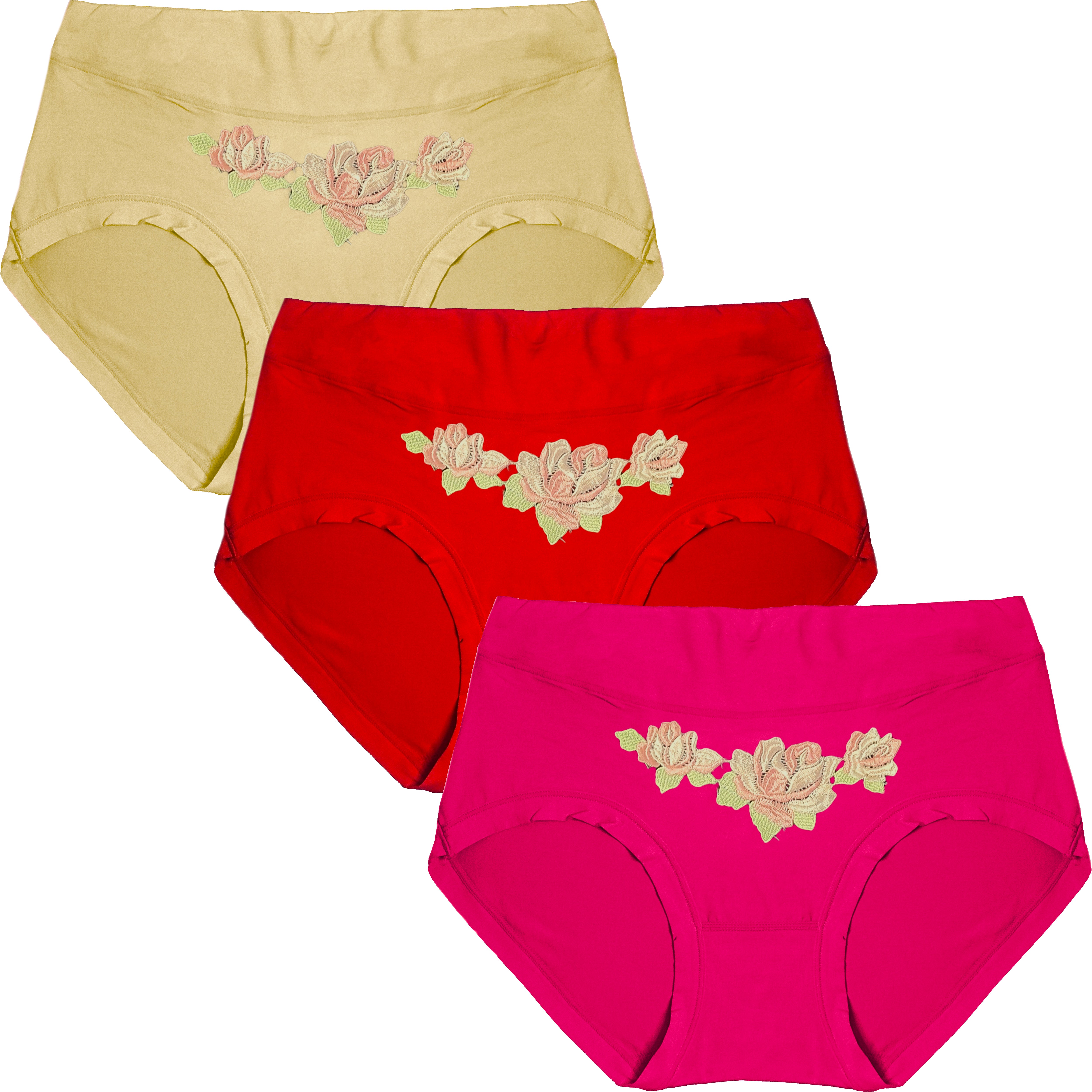 Dressably Women's Nylon Cotton High Waist Tummy Control Panty (Pack of 3)